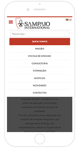 Portfolio Sampaio International